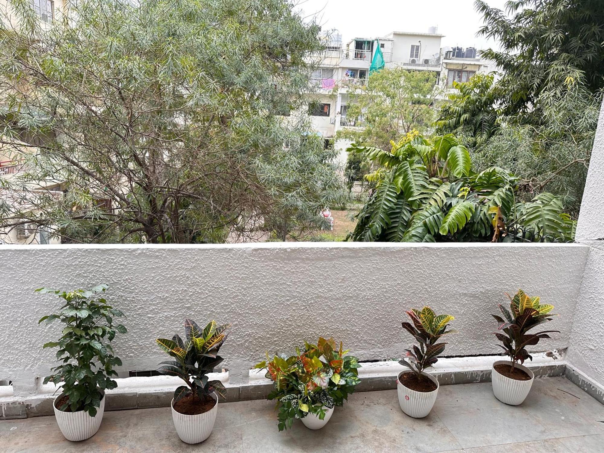 מלון Grove Residency Hauz Khas New Delhi Couple Friendly מראה חיצוני תמונה