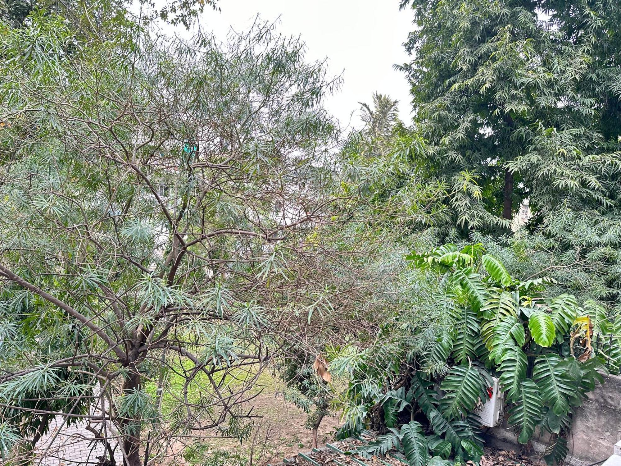 מלון Grove Residency Hauz Khas New Delhi Couple Friendly מראה חיצוני תמונה